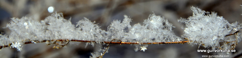 10 februari 2019 – Första glasspinnen!