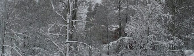 Utsikt från kvarnen.